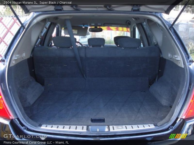 Super Black / Charcoal 2004 Nissan Murano SL