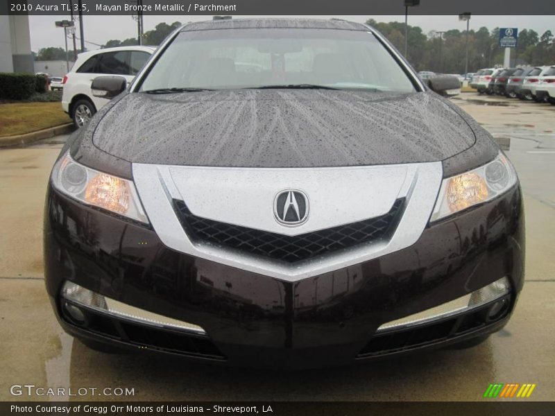 Mayan Bronze Metallic / Parchment 2010 Acura TL 3.5