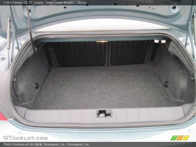 Silver Green Metallic / Ebony 2009 Pontiac G6 GT Coupe