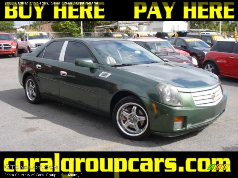 Silver Green / Light Neutral 2003 Cadillac CTS Sedan