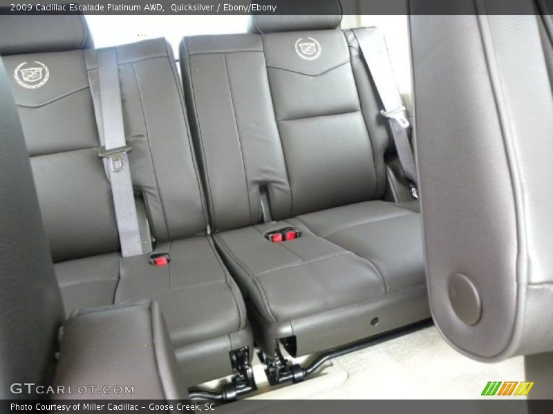 Quicksilver / Ebony/Ebony 2009 Cadillac Escalade Platinum AWD