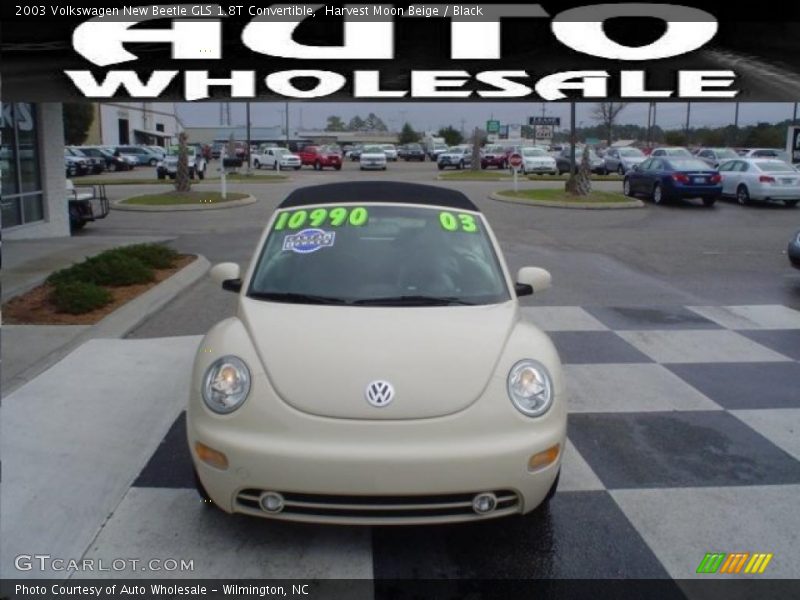 Harvest Moon Beige / Black 2003 Volkswagen New Beetle GLS 1.8T Convertible