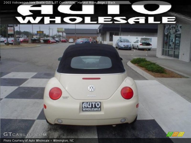 Harvest Moon Beige / Black 2003 Volkswagen New Beetle GLS 1.8T Convertible