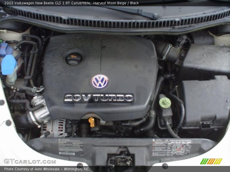 Harvest Moon Beige / Black 2003 Volkswagen New Beetle GLS 1.8T Convertible