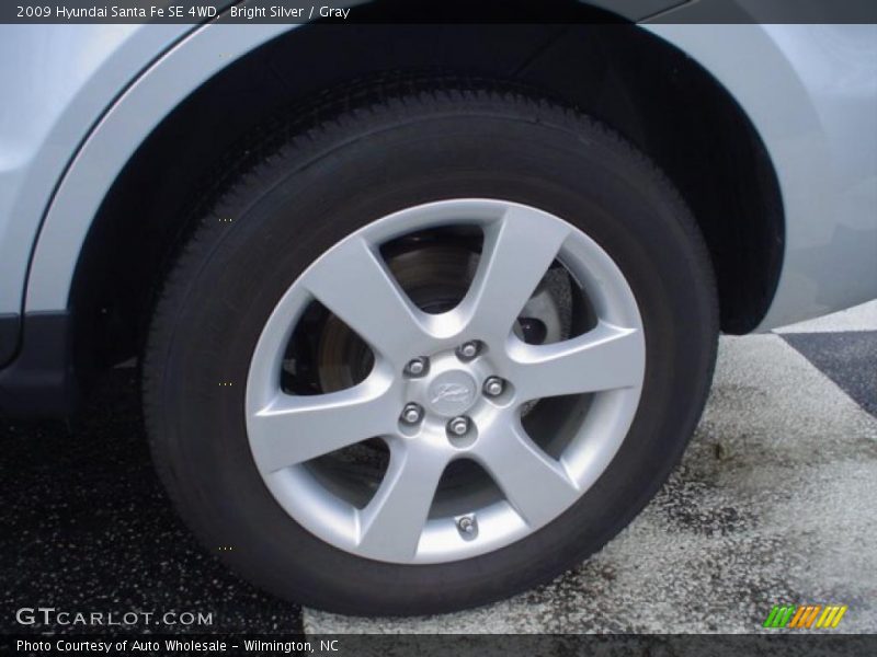 Bright Silver / Gray 2009 Hyundai Santa Fe SE 4WD
