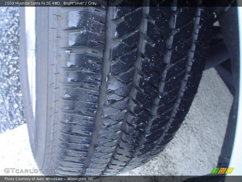 Bright Silver / Gray 2009 Hyundai Santa Fe SE 4WD