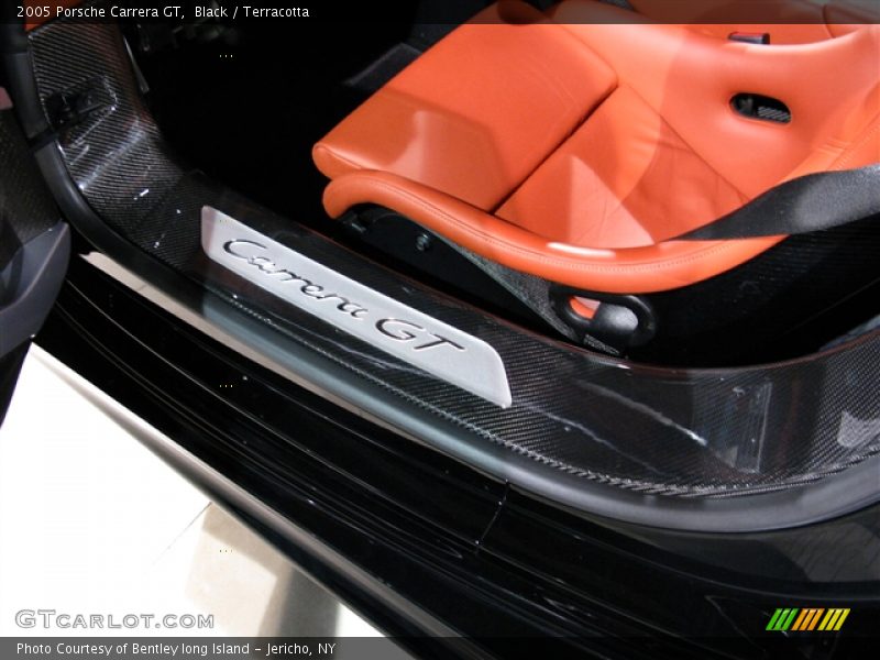  2005 Carrera GT  Terracotta Interior