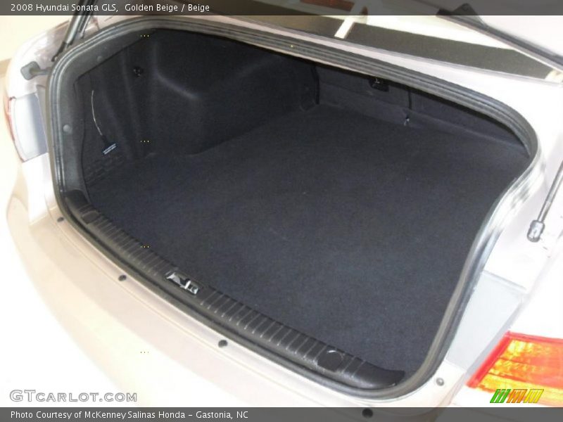 Golden Beige / Beige 2008 Hyundai Sonata GLS