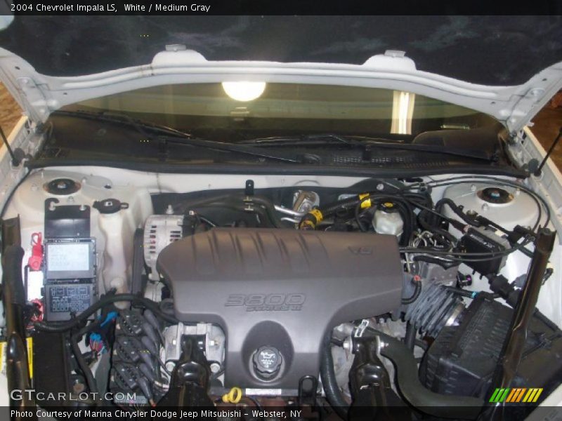 White / Medium Gray 2004 Chevrolet Impala LS