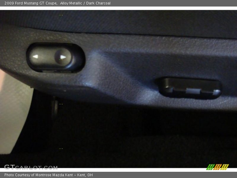 Alloy Metallic / Dark Charcoal 2009 Ford Mustang GT Coupe