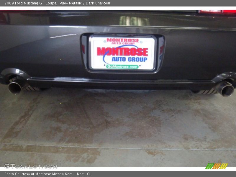 Alloy Metallic / Dark Charcoal 2009 Ford Mustang GT Coupe