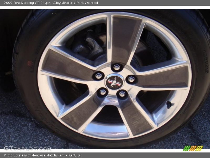 Alloy Metallic / Dark Charcoal 2009 Ford Mustang GT Coupe