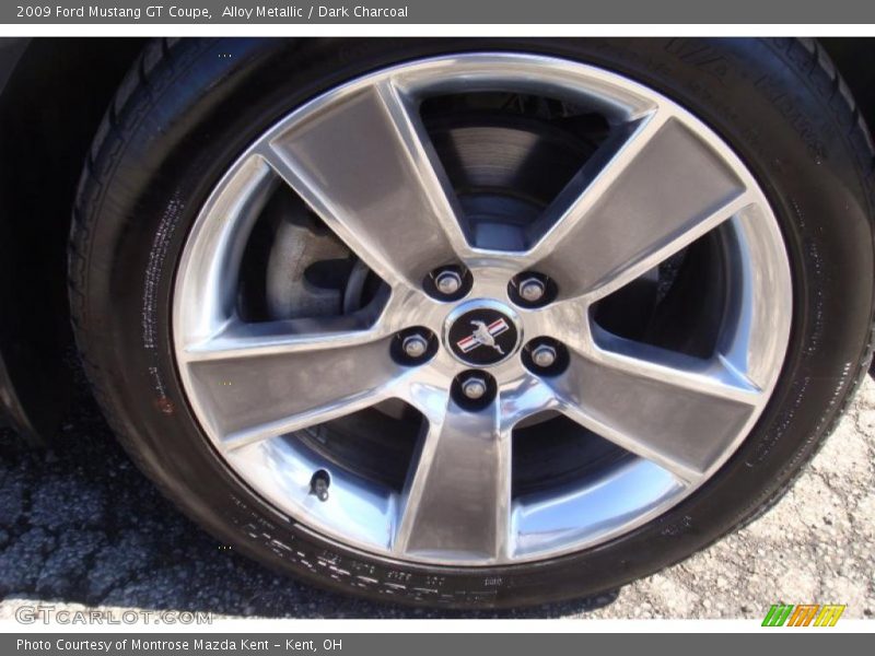 Alloy Metallic / Dark Charcoal 2009 Ford Mustang GT Coupe
