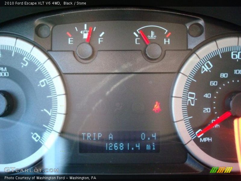 Black / Stone 2010 Ford Escape XLT V6 4WD