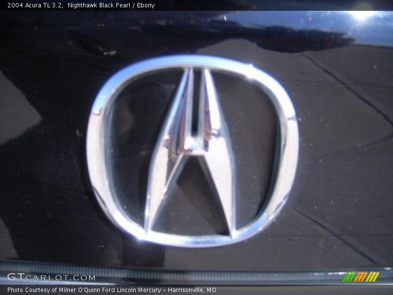 Nighthawk Black Pearl / Ebony 2004 Acura TL 3.2