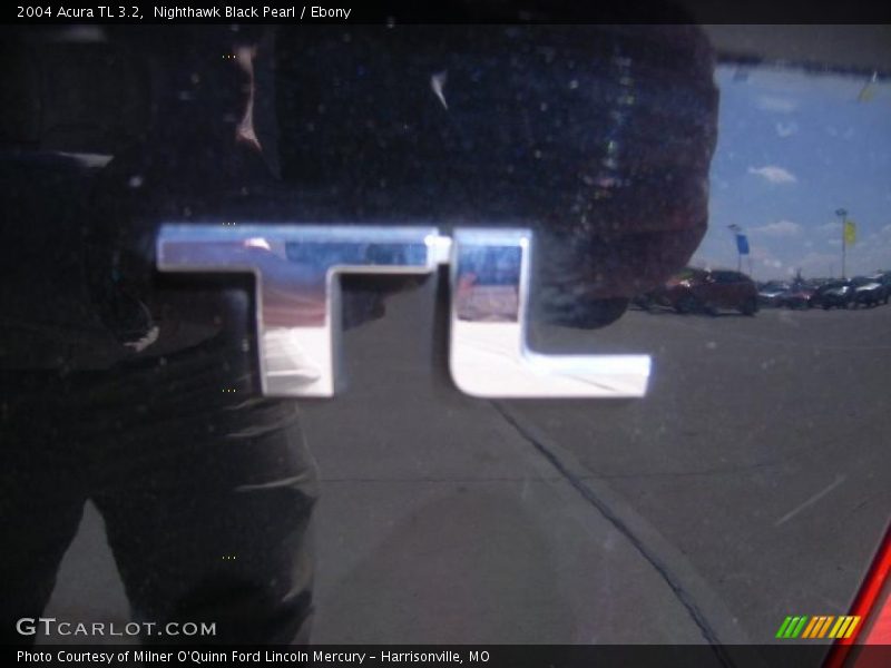 Nighthawk Black Pearl / Ebony 2004 Acura TL 3.2