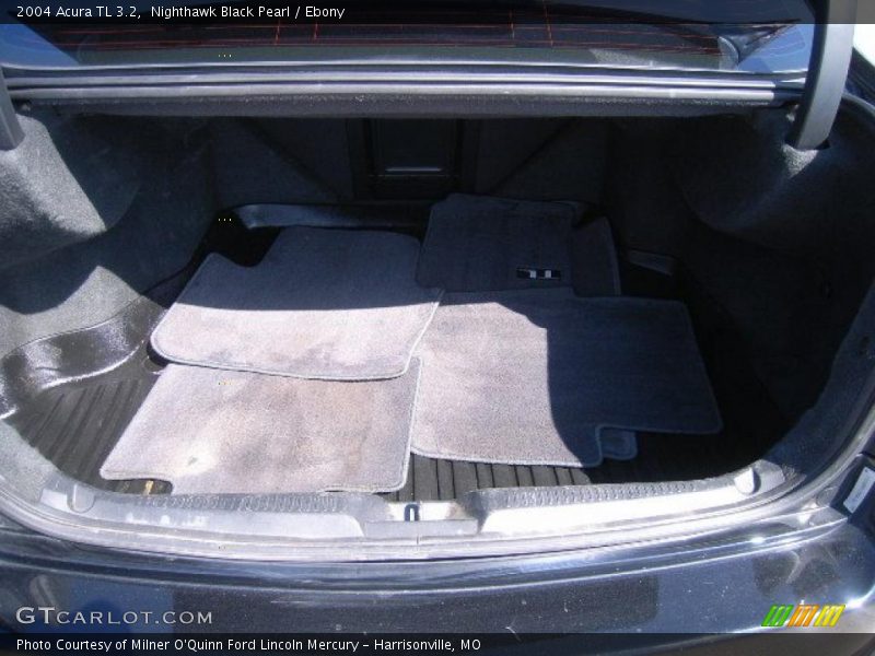 Nighthawk Black Pearl / Ebony 2004 Acura TL 3.2