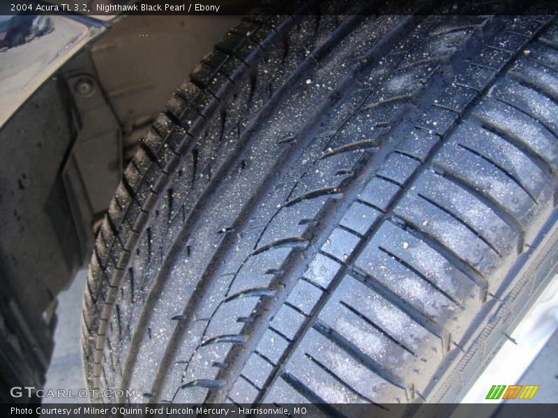 Nighthawk Black Pearl / Ebony 2004 Acura TL 3.2