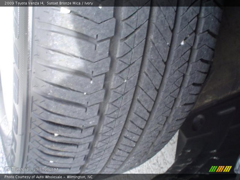 Sunset Bronze Mica / Ivory 2009 Toyota Venza I4