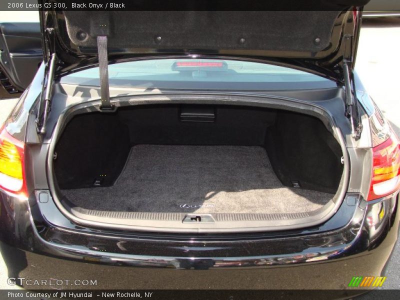 Black Onyx / Black 2006 Lexus GS 300