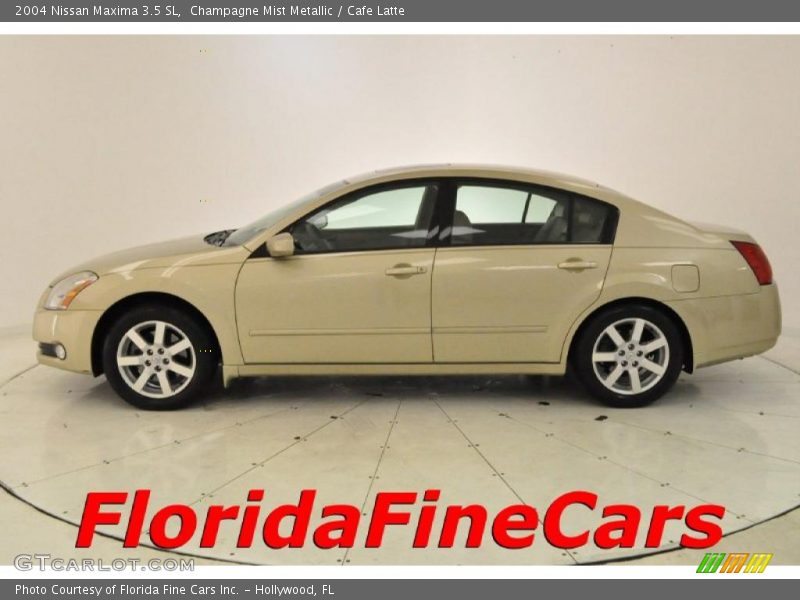 Champagne Mist Metallic / Cafe Latte 2004 Nissan Maxima 3.5 SL