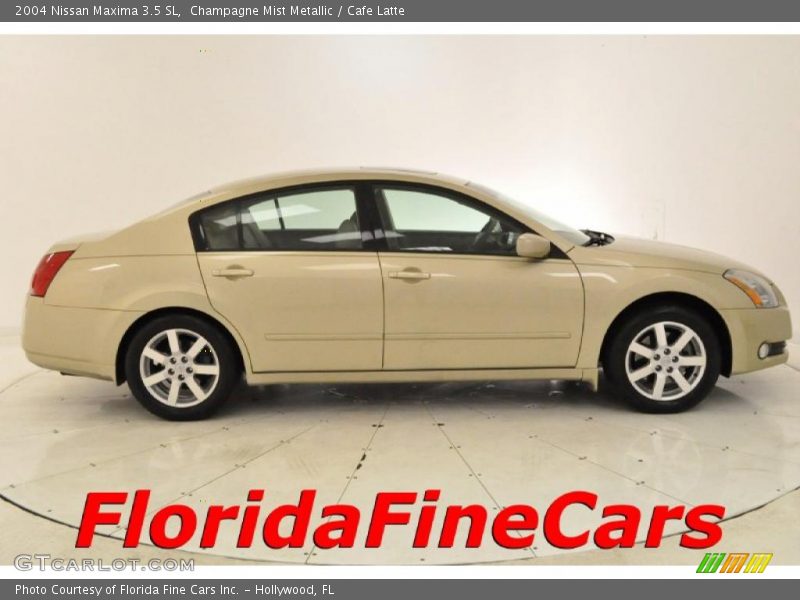 Champagne Mist Metallic / Cafe Latte 2004 Nissan Maxima 3.5 SL