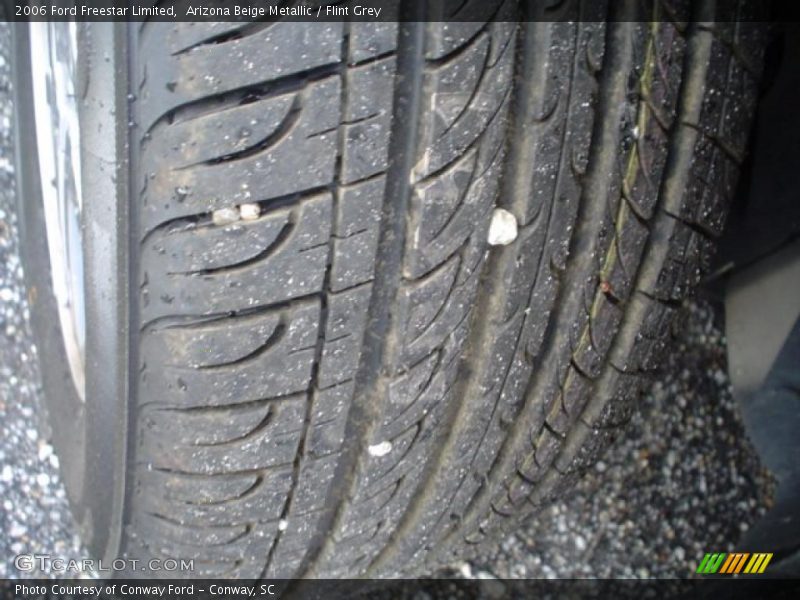 Arizona Beige Metallic / Flint Grey 2006 Ford Freestar Limited