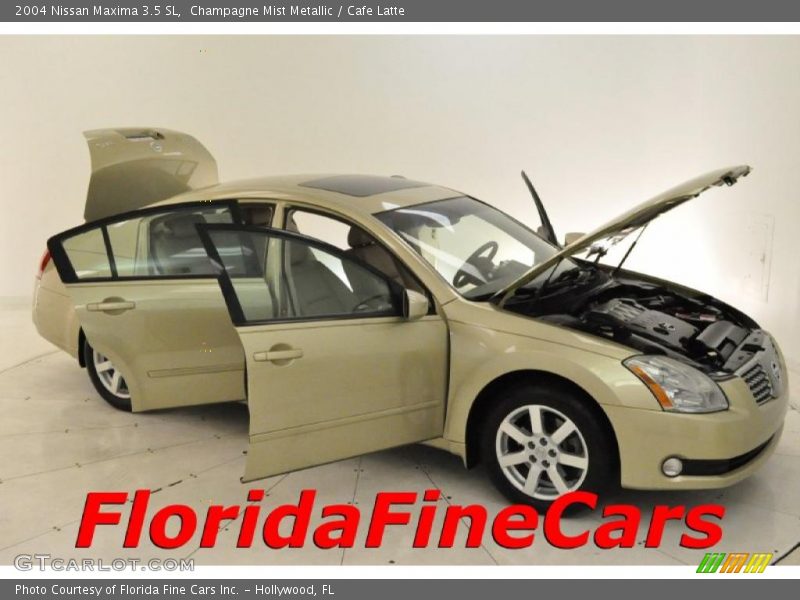 Champagne Mist Metallic / Cafe Latte 2004 Nissan Maxima 3.5 SL