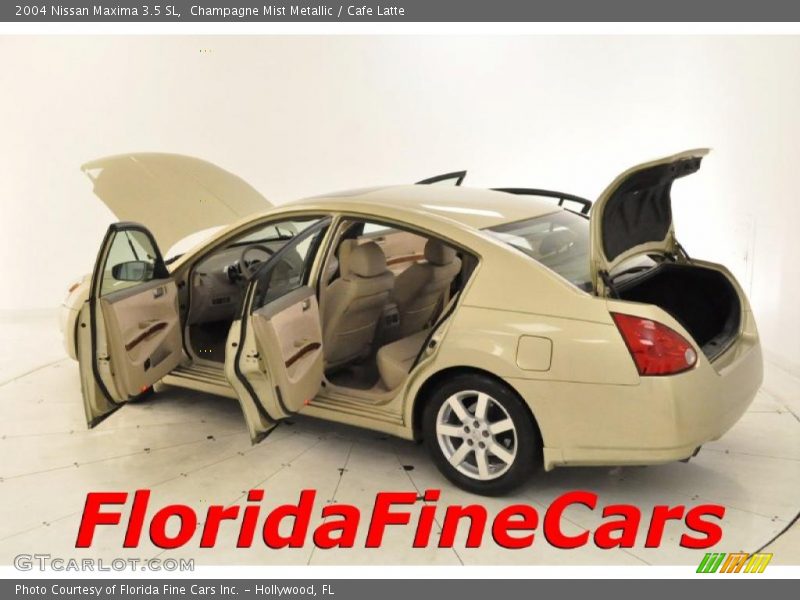 Champagne Mist Metallic / Cafe Latte 2004 Nissan Maxima 3.5 SL