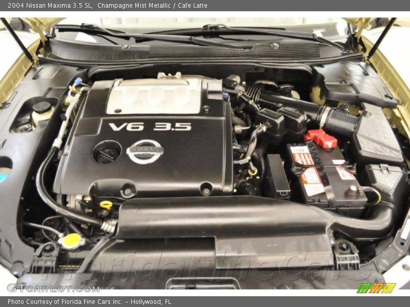 Champagne Mist Metallic / Cafe Latte 2004 Nissan Maxima 3.5 SL