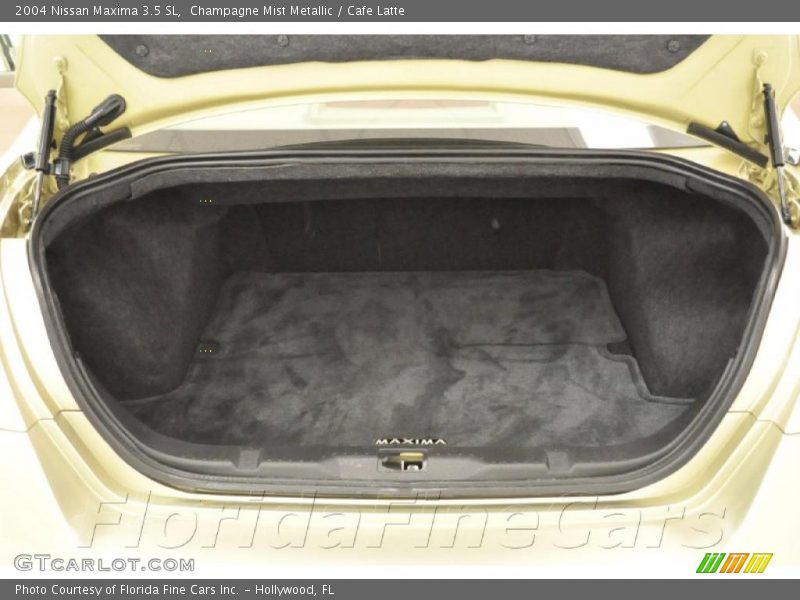 Champagne Mist Metallic / Cafe Latte 2004 Nissan Maxima 3.5 SL