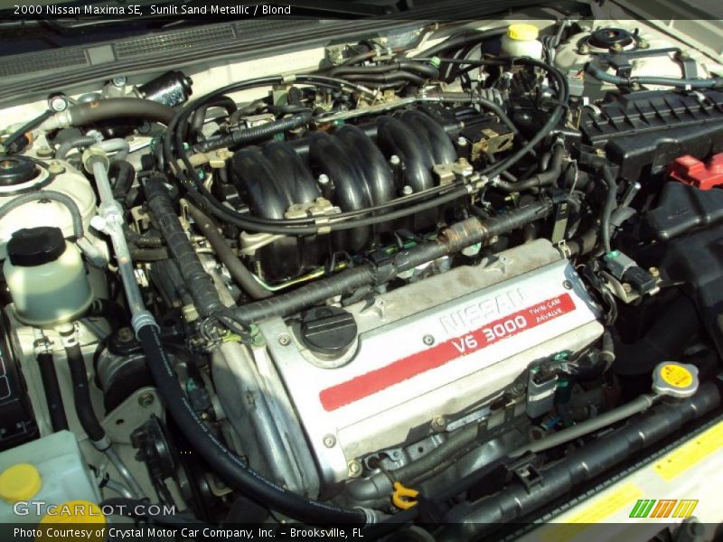 Sunlit Sand Metallic / Blond 2000 Nissan Maxima SE