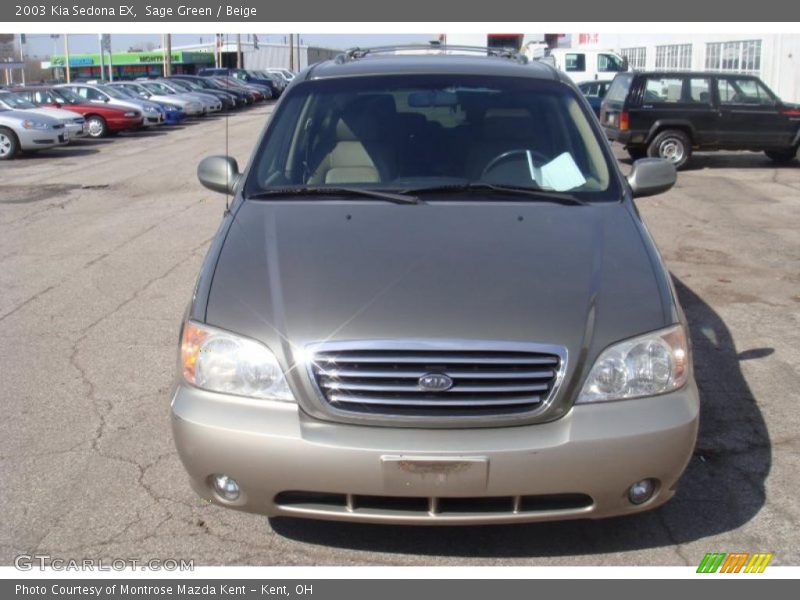 Sage Green / Beige 2003 Kia Sedona EX