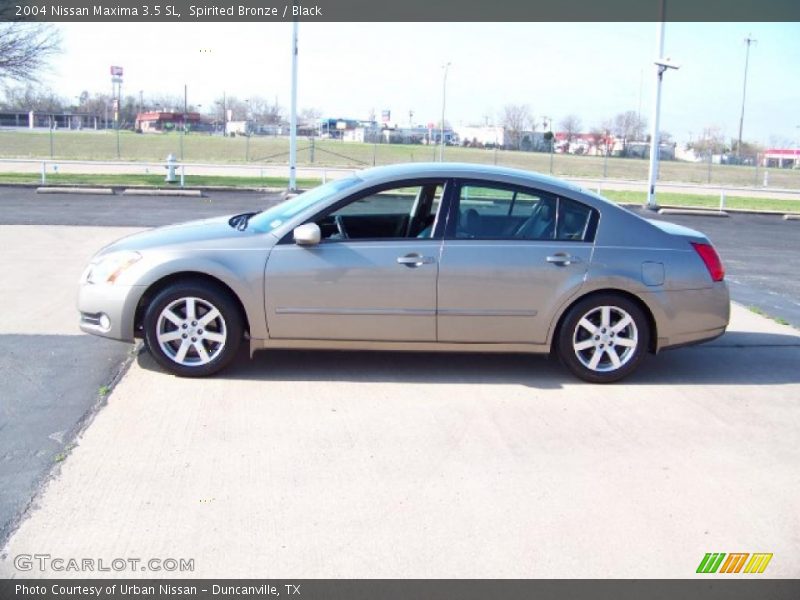 Spirited Bronze / Black 2004 Nissan Maxima 3.5 SL