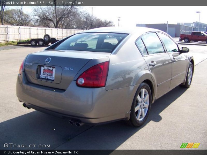Spirited Bronze / Black 2004 Nissan Maxima 3.5 SL
