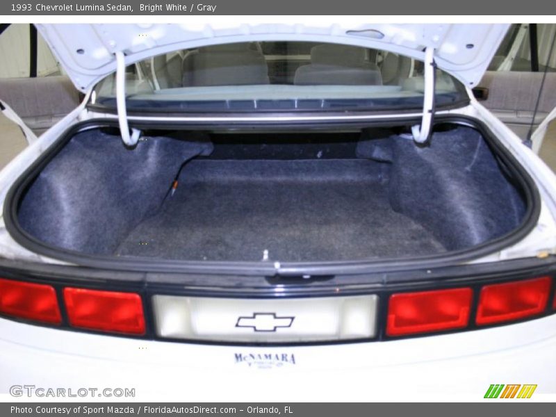 Bright White / Gray 1993 Chevrolet Lumina Sedan