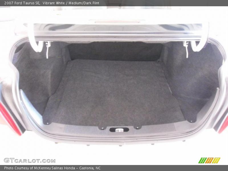 Vibrant White / Medium/Dark Flint 2007 Ford Taurus SE
