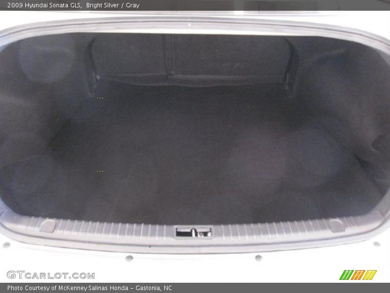 Bright Silver / Gray 2009 Hyundai Sonata GLS