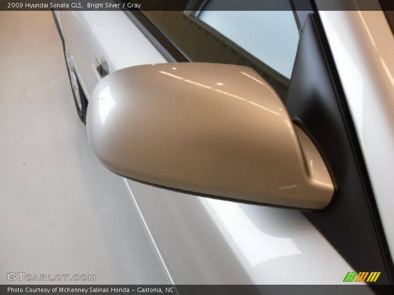Bright Silver / Gray 2009 Hyundai Sonata GLS