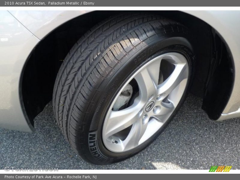 Palladium Metallic / Ebony 2010 Acura TSX Sedan