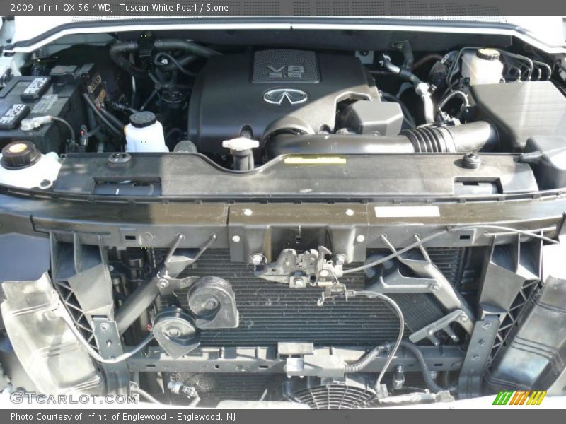 Tuscan White Pearl / Stone 2009 Infiniti QX 56 4WD