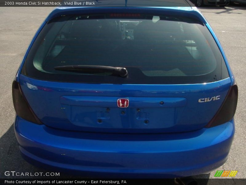 Vivid Blue / Black 2003 Honda Civic Si Hatchback