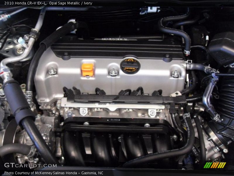 Opal Sage Metallic / Ivory 2010 Honda CR-V EX-L