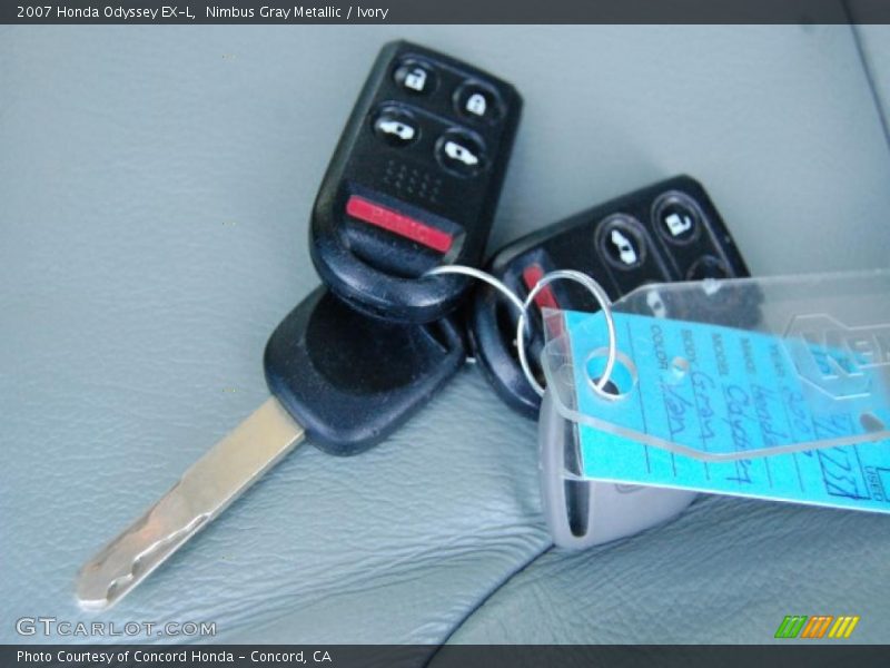 Nimbus Gray Metallic / Ivory 2007 Honda Odyssey EX-L