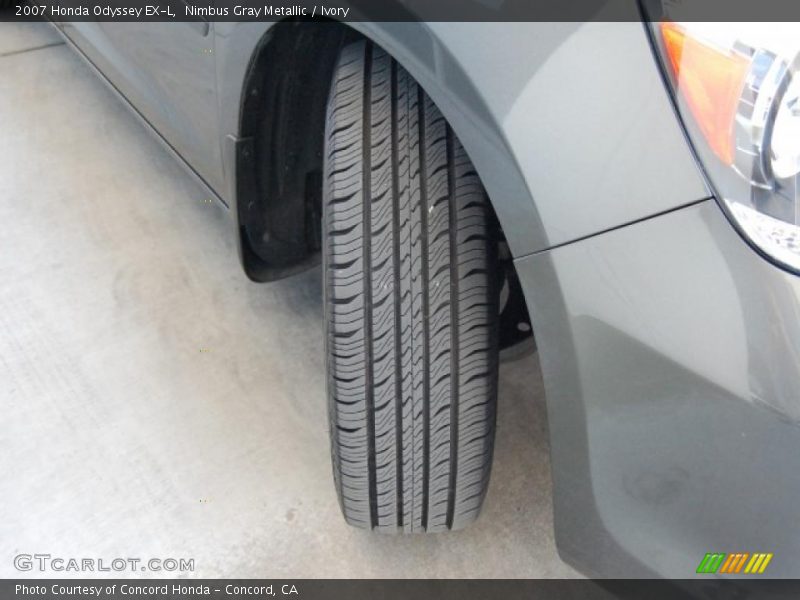 Nimbus Gray Metallic / Ivory 2007 Honda Odyssey EX-L