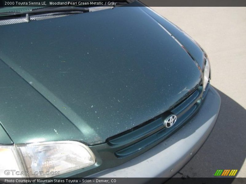 Woodland Pearl Green Metallic / Gray 2000 Toyota Sienna LE