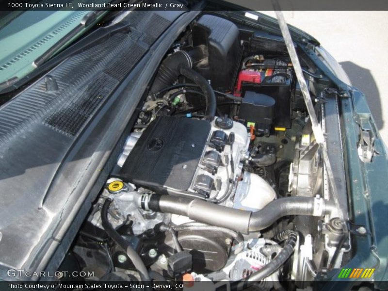 Woodland Pearl Green Metallic / Gray 2000 Toyota Sienna LE