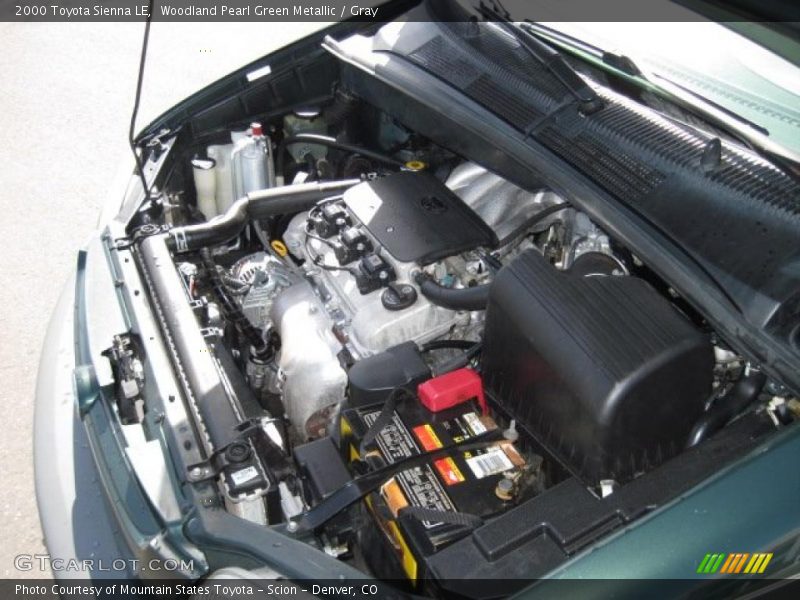 Woodland Pearl Green Metallic / Gray 2000 Toyota Sienna LE