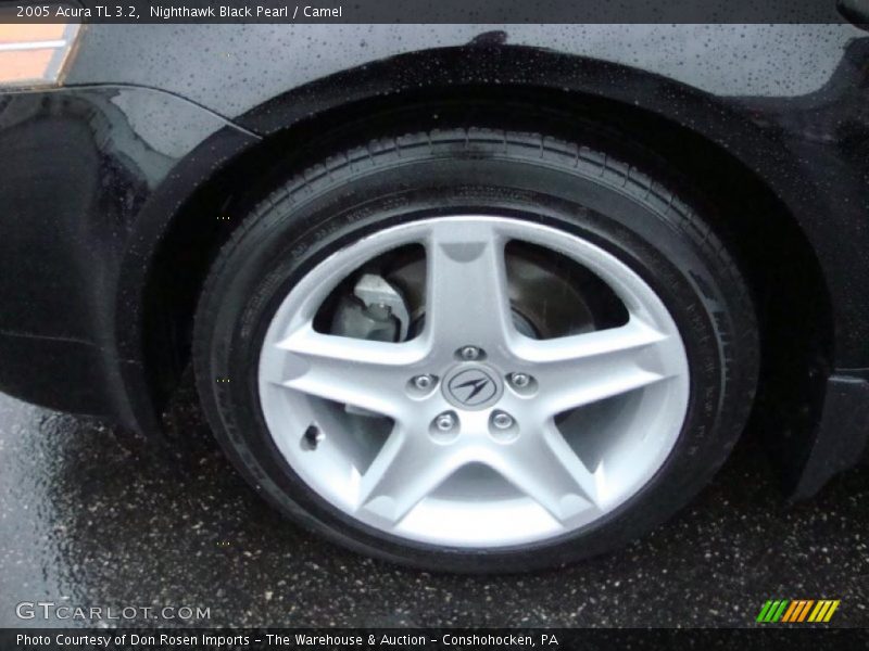 Nighthawk Black Pearl / Camel 2005 Acura TL 3.2