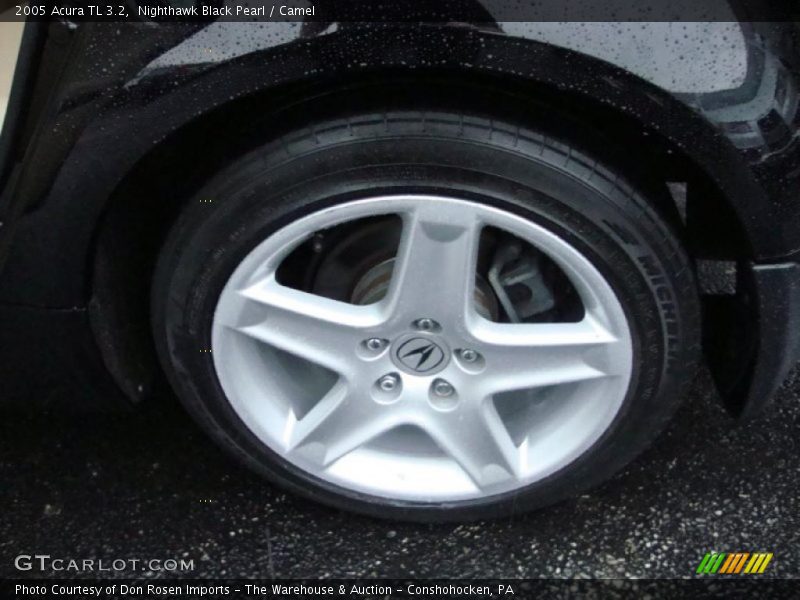 Nighthawk Black Pearl / Camel 2005 Acura TL 3.2